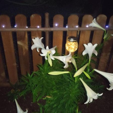 阿桂姆斯Casita Leos公寓 外观 照片